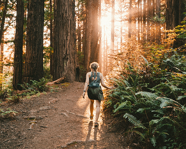 woman walking through sunlit woods